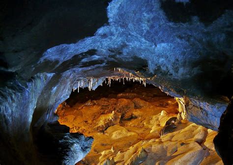 la cueva del oso|cueva del oso yacimiento.